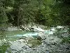 Gorges de la Restonica - Torrent (rivière) la Restonica avec des rochers et des arbres