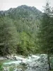 Gorges de la Restonica - Torrent (rivière) la Restonica, arbres et montagne