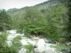 Gorges de la Restonica - Torrent (rivière) la Restonica, arbres et montagnes couvertes de forêts