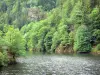 Les gorges de la Rhue - Guide tourisme, vacances & week-end dans le Cantal