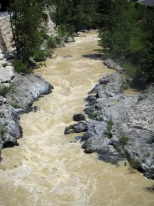 Gorges de la Roya - Fleuve Roya bordé de rochers et d'arbres