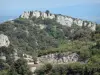 Gorges de la Sainte-Beaume - Parois rocheuses et végétation des gorges