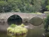 Gorges de la Sioule - Pont enjambant la rivière Sioule et arbres au bord de l'eau