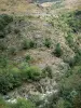 Gorges du Tapoul - Parc National des Cévennes : pente rocheuse parsemée d'arbres
