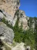 Gorges du Tarn - Falaises calcaires (parois rocheuses) du cirque des Baumes ; dans le Parc National des Cévennes