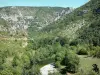 Gorges du Tarn - Paysage verdoyant des gorges du Tarn ; dans le Parc National des Cévennes