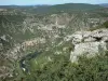 Gorges du Tarn - Panorama sur le canyon du Tarn depuis le belvédère du roc des Hourtous ; dans le Parc National des Cévennes
