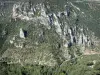 Gorges du Tarn - Vue sur les rochers et falaises calcaires du canyon du Tarn depuis le belvédère du roc des Hourtous ; dans le Parc National des Cévennes