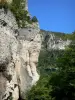 Gorges du Tarn - Falaises du cirque des Baumes ; dans le Parc National des Cévennes