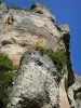 Gorges du Tarn - Parois rocheuses du cirque des Baumes ; dans le Parc National des Cévennes