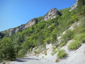 Gorges du Toulourenç - Gargantas estrada forrada com árvores e rostos de rocha