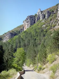 Gorges du Toulourenç - Gargantas estrada forrada com árvores e rostos de rocha