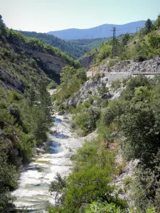 Gorges du Toulourenç - Estrada do desfiladeiro com vista para o rio