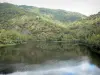 Gorges de la Truyère - Vue sur la rivière Truyère et ses abords verdoyants
