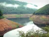 Gorges de la Truyère - Retenue d'eau du barrage de Sarrans et ses rives boisées