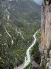 Gorges du Verdon - Grand canyon du Verdon : falaise (paroi rocheuse) surplombant la rivière Verdon ; dans le Parc Naturel Régional du Verdon