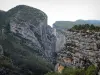 Gorges du Verdon - Grand canyon du Verdon : falaises (parois rocheuses) ; dans le Parc Naturel Régional du Verdon