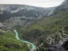 Gorges du Verdon - Grand canyon du Verdon : rivière Verdon bordée d'arbres et de falaises (parois rocheuses) ; dans le Parc Naturel Régional du Verdon