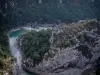 Gorges du Verdon - Des balcons de la Mescla, vue sur les parois rocheuses, les arbres, la garrigue et le confluent (mélange des eaux) du Verdon et de l'Artuby (Parc Naturel Régional du Verdon)