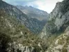Gorges de la Vésubie - Les gorges de la Vésubie et ses montagnes