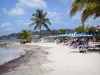 Le Gosier - Plage de la pointe de la Verdure com suas espreguiçadeiras, guarda-sóis e coqueiros