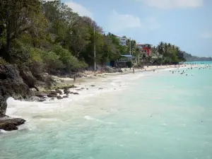 Le Gosier - View of the beach of Dacha and swimmers in the water