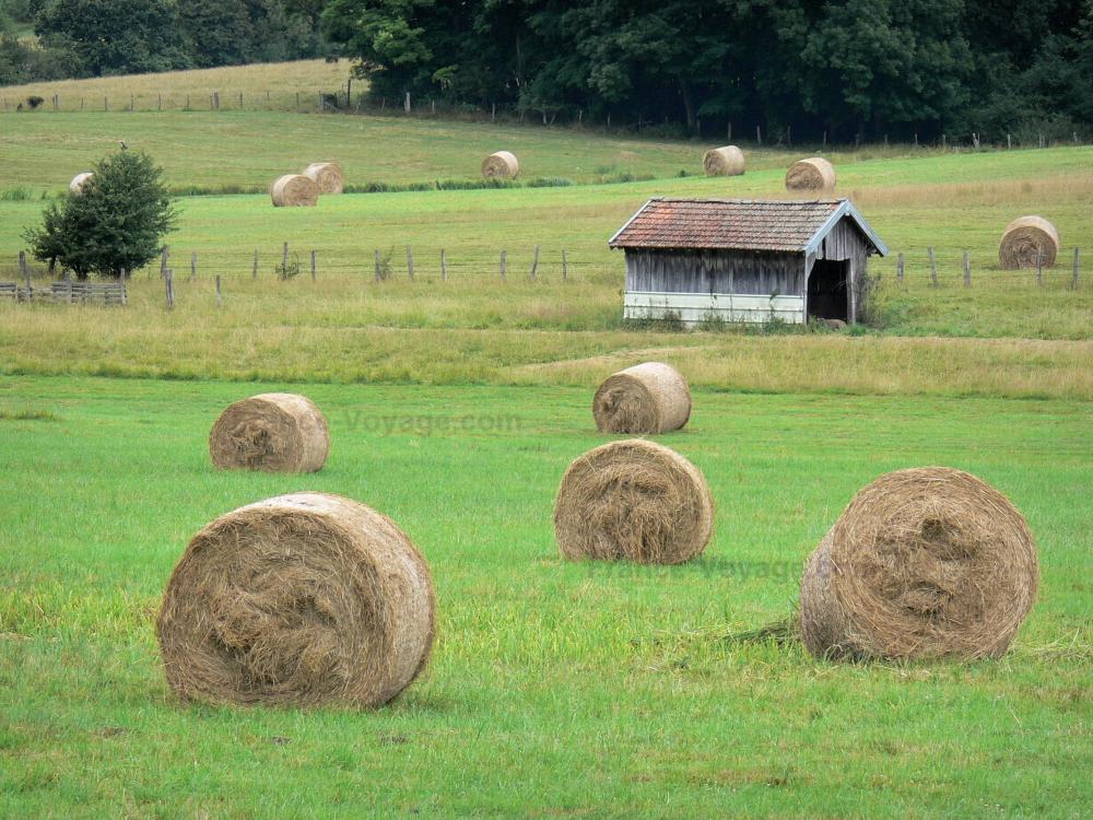 Guide du Grand Est - Paysages de la Haute-Marne - Cabane en bois et bottes de foin dans un pré
