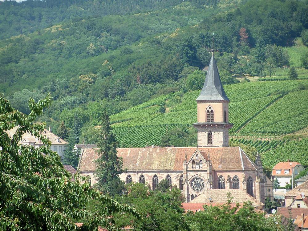 Guide du Grand Est - Ribeauvillé - Église Saint-Grégoire et maisons de la ville, colline couverte de vignes et d'arbres en arrière-plan