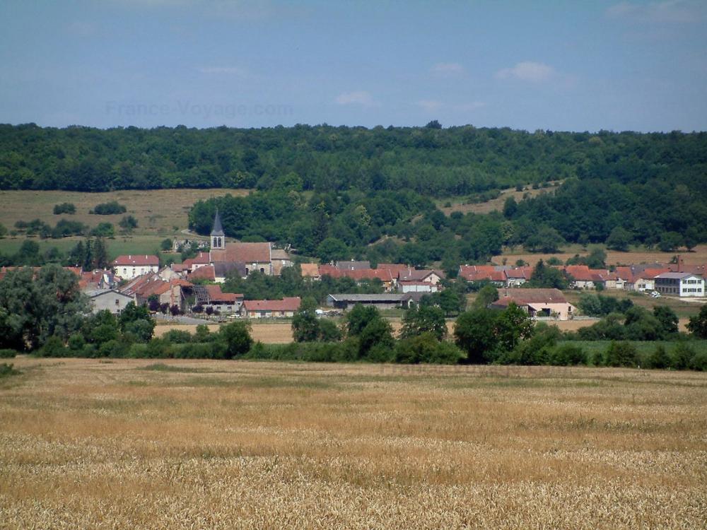Guide du Grand Est - Paysages des Vosges - Champ de blé, arbres, maisons d'un village et forêt en arrière-plan
