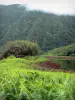 Grand Étang - Remparts verdoyants surplombant le plan d'eau