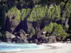 Grande Anse海滩 - 沙滩，岩石和印度洋