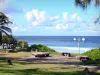 Grande Anse海滩 - 沿着印度洋漫步