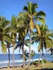 Grande Anse海滩 - 瑜伽练习在椰子树下，在印度洋的边缘