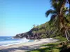 Grande Anse海滩 - 沙滩两旁种有椰子树，俯瞰着印度洋