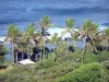 Grande Anse海滩 - Grande Anse椰子树的看法从高度的