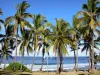 Grande Anse beach - Coconut of the Grande Anse beach, with a view of the Indian Ocean; in the town of Petite-Île