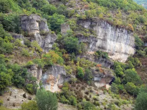 Grands Caussesの地域自然公園 - ドルビー渓谷の岩の壁