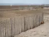 Le Grau-du-Roi - Plage de sable et mer