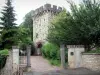 Gray - Gekanteelde toren van het middeleeuwse kasteel (museum ingang Baron Martin) en bomen
