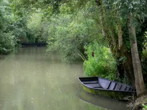 Green Venice of the Poitevin marsh - Wet marsh: tree-lined narrow canal and small moored boat