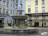 Grenoble - Place Grenette square: fountain, shops and facades of houses