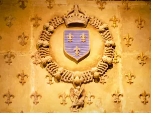 Grignan castle - Inside the château: sculpted coat of arms