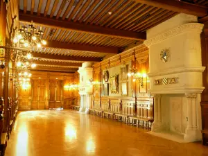 Grignan castle - Interior of the chateau: monumental fireplace and woodwork from the Adhémar gallery