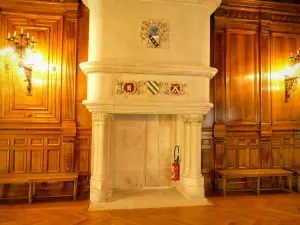 Grignan castle - Inside the château: monumental stone fireplace from the Adhémar gallery