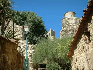 Grimaud - Ruines du château dominant les arbres et les maisons du village médiéval