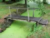 Groene Venetië van het Moeras van Poitou - Wet moeras: kleine houten brug over een kleine waterweg bekleed met eendekroos