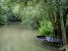 Groene Venetië van het Moeras van Poitou - Natte Marsh: met bomen omzoomde schelp, en kleine boot afgemeerd