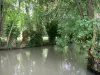Groene Venetië van het Moeras van Poitou - Natte Marsh: met bomen omzoomde conch