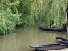 Groene Venetië van het Moeras van Poitou - Wet moeras: boten, en bomen aan de rand van het water