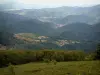 Grote Ballon - De top van de berg, met uitzicht op de omringende heuvels (Regionale Natuurpark van de Ballons des Vosges)